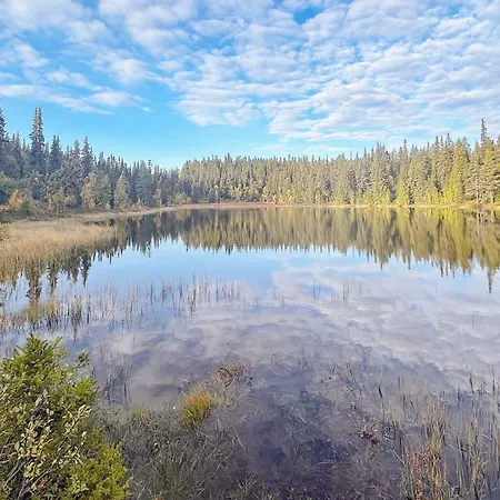 5 Person In Ringebu-by Traum 別荘 リンゲブ